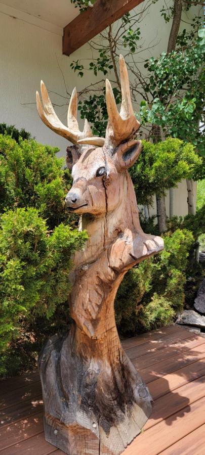 Hot Springs Inn Ouray Dış mekan fotoğraf